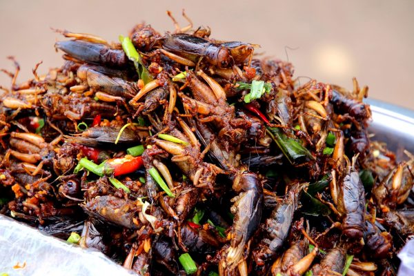 Cambodian street food - Cockroach salad