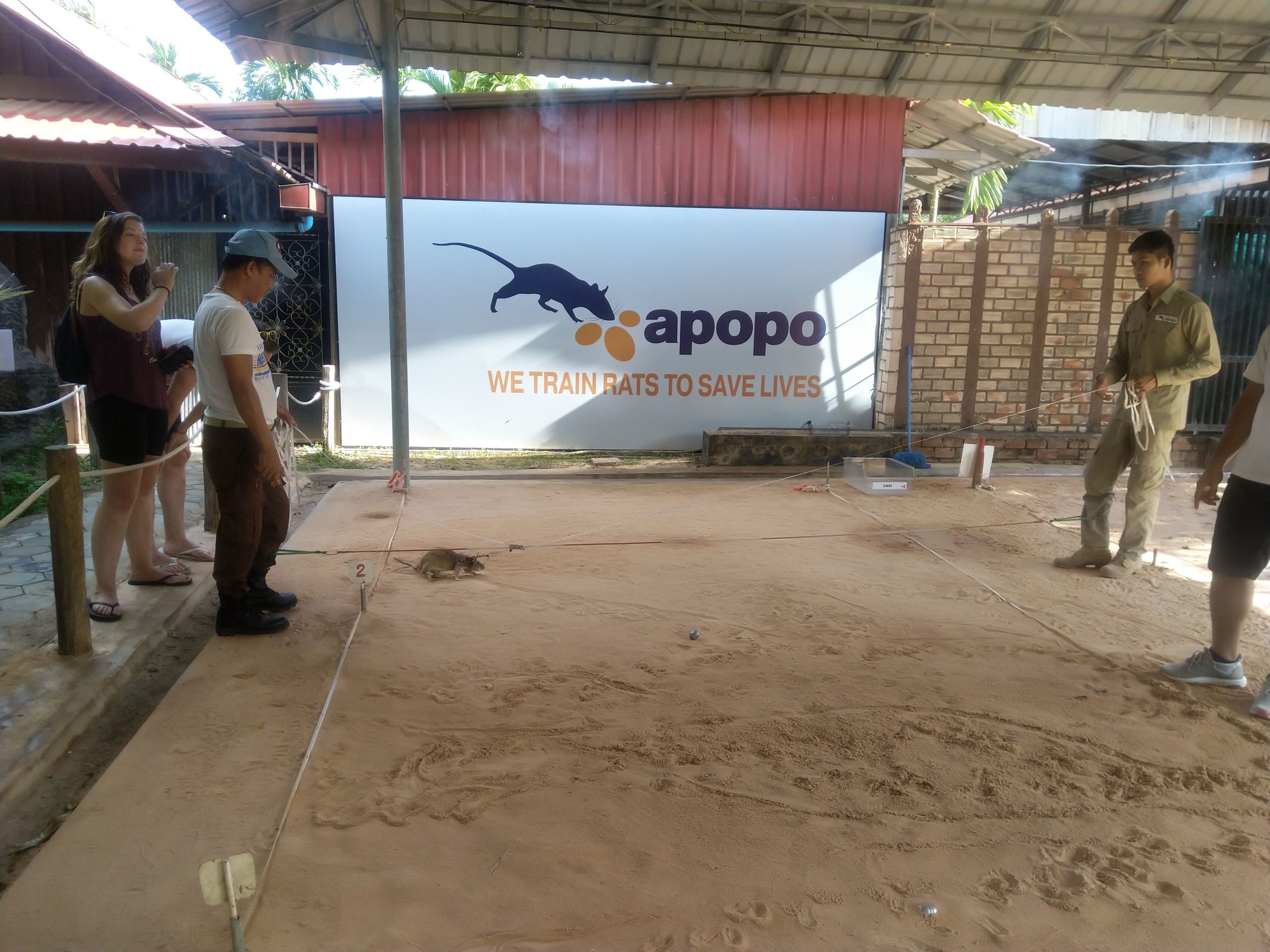 Apopo besucherzentrum