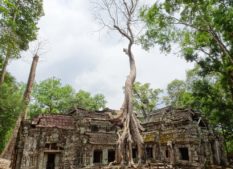 Tah prohm - best temples to visit in Angkor
