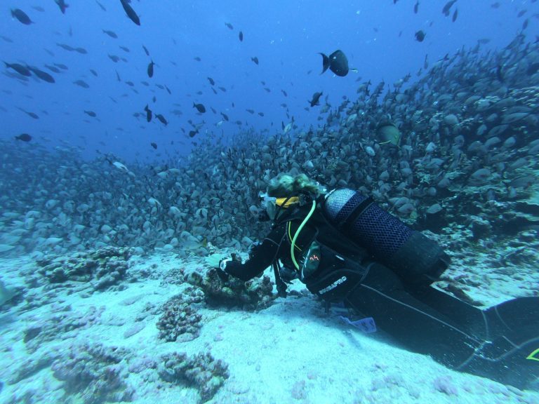 Scuba diving in the philliipines