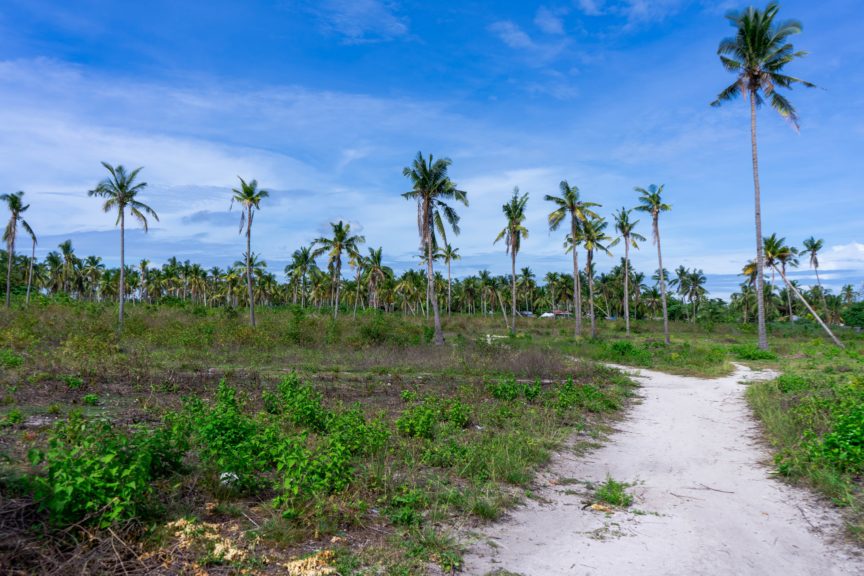 luzon , philippines