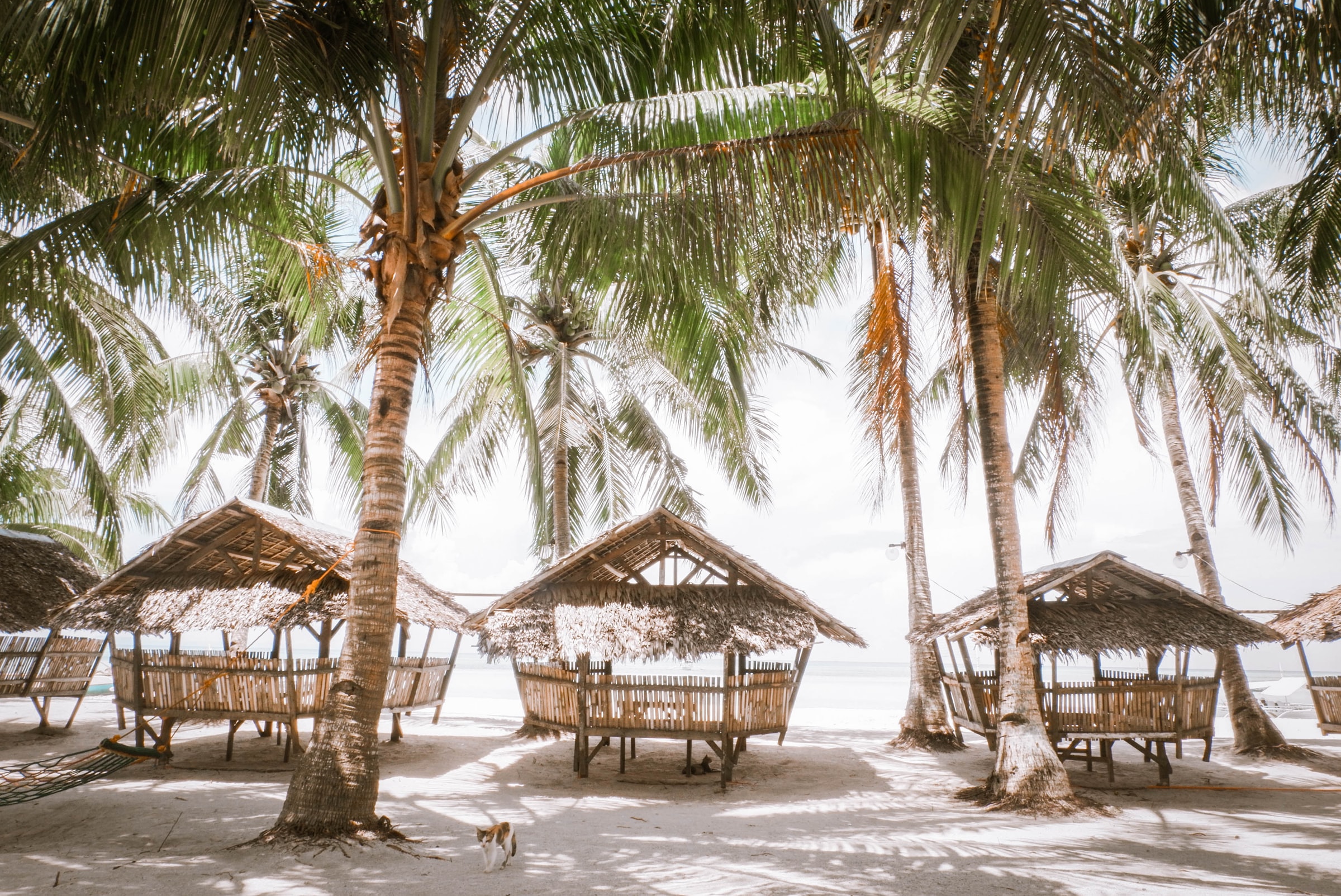 hotels in the Visayas