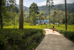 nuwara eliya - one of the best places to visit in sri lanka