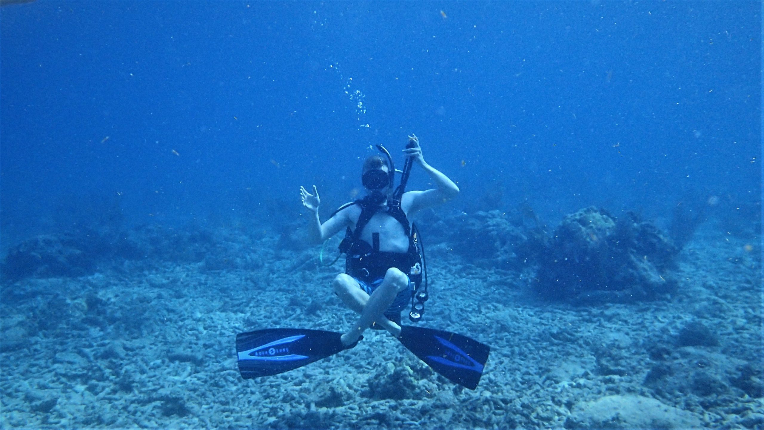 Scuba diving in sri lanka