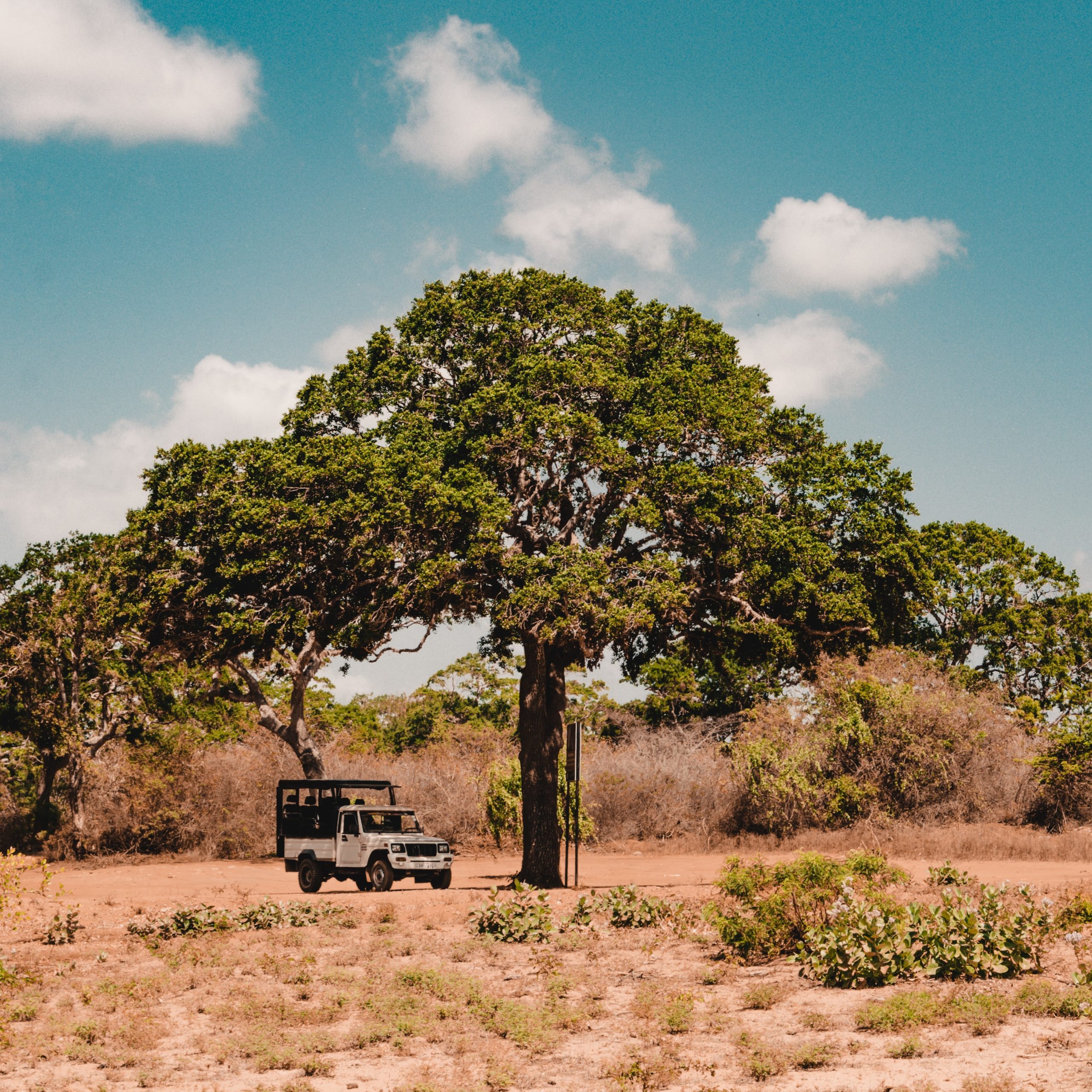 wildlife in sri lanka - largest national park in sri lanka