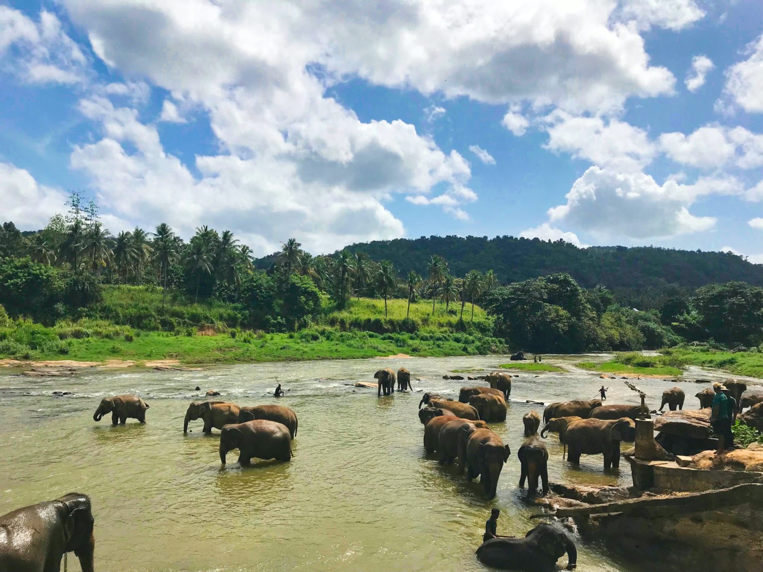Das Wetter in Sri Lanka im September Eine Übersicht von Asia Someday
