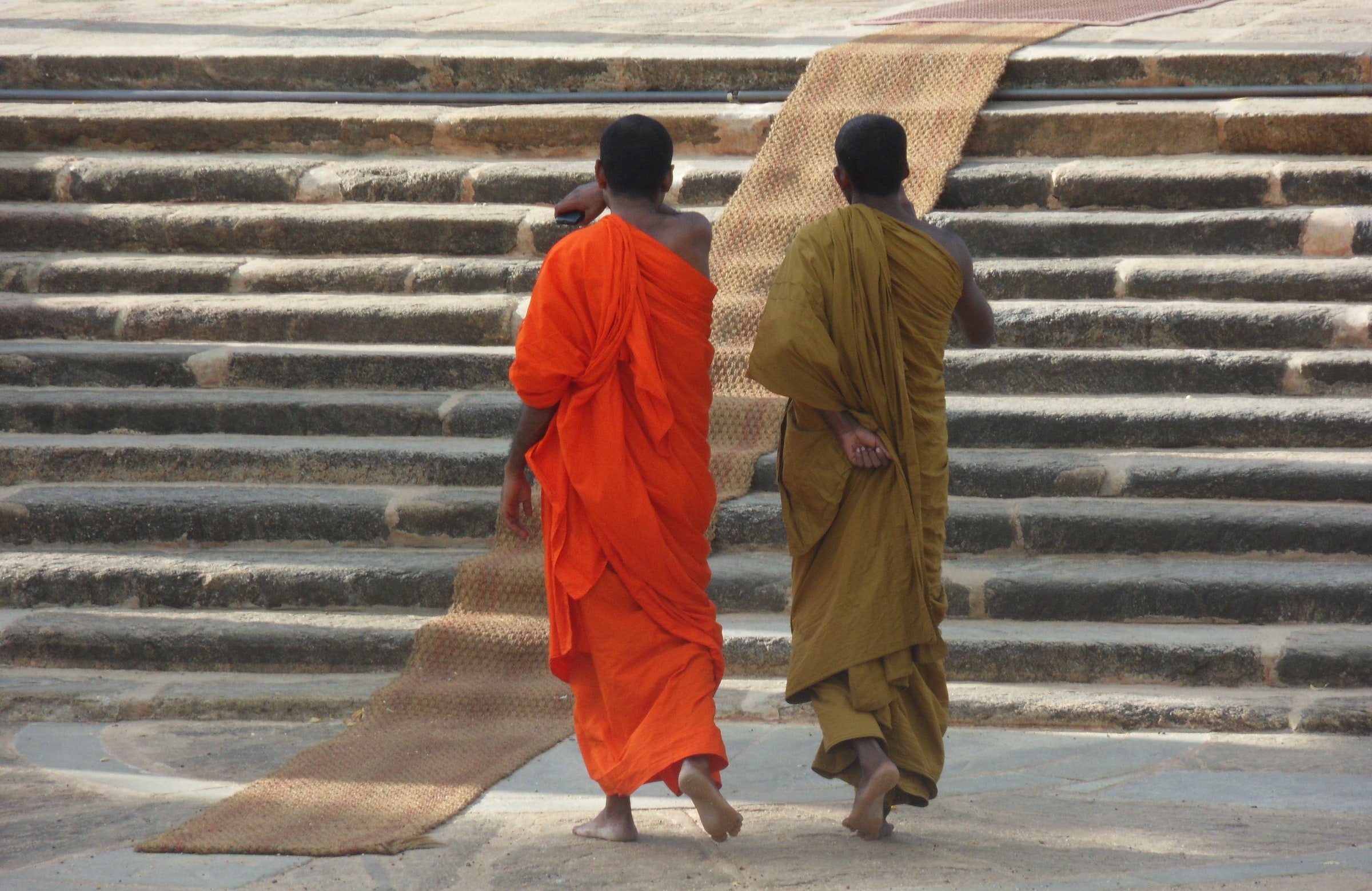Buddhism in Sri Lanka