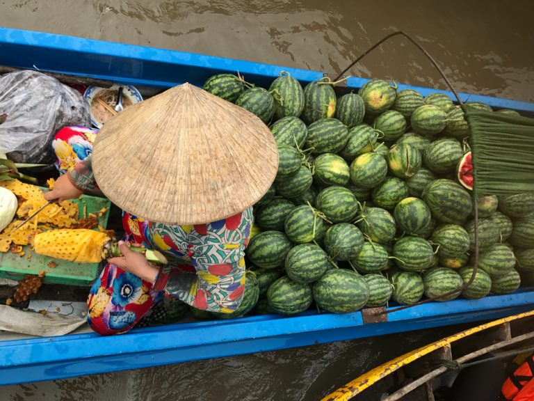 fresh fruits in vietnam
