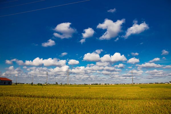 weather in Vietnam